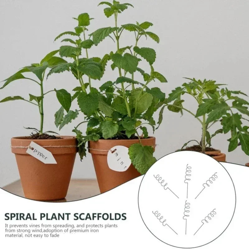 Plant Support Stake - Estaca de Suporte para Plantas Trepadeiras,
