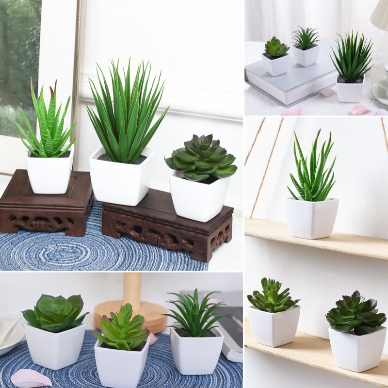 Succulent Set - (Um conjunto de 3 peças) mini