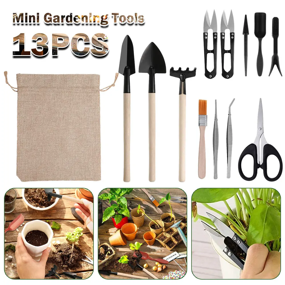 Succulent Set - Indoor suculentas plantas conjunto de ferramentas,