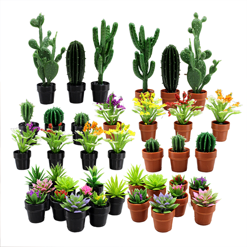 Succulent Set - 8 Peças de Plantas em Vasos