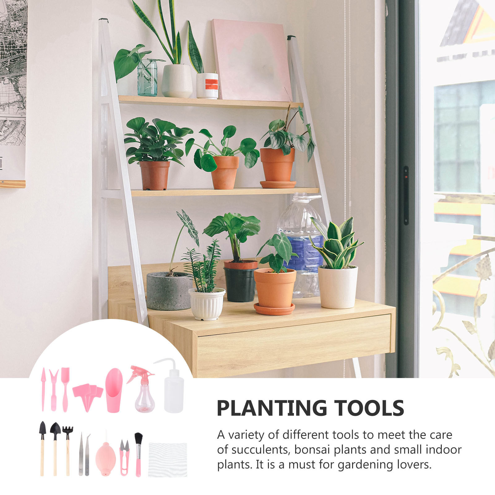 1 Conjunto de Ferramentas para - Succulent Set avaliação e preço