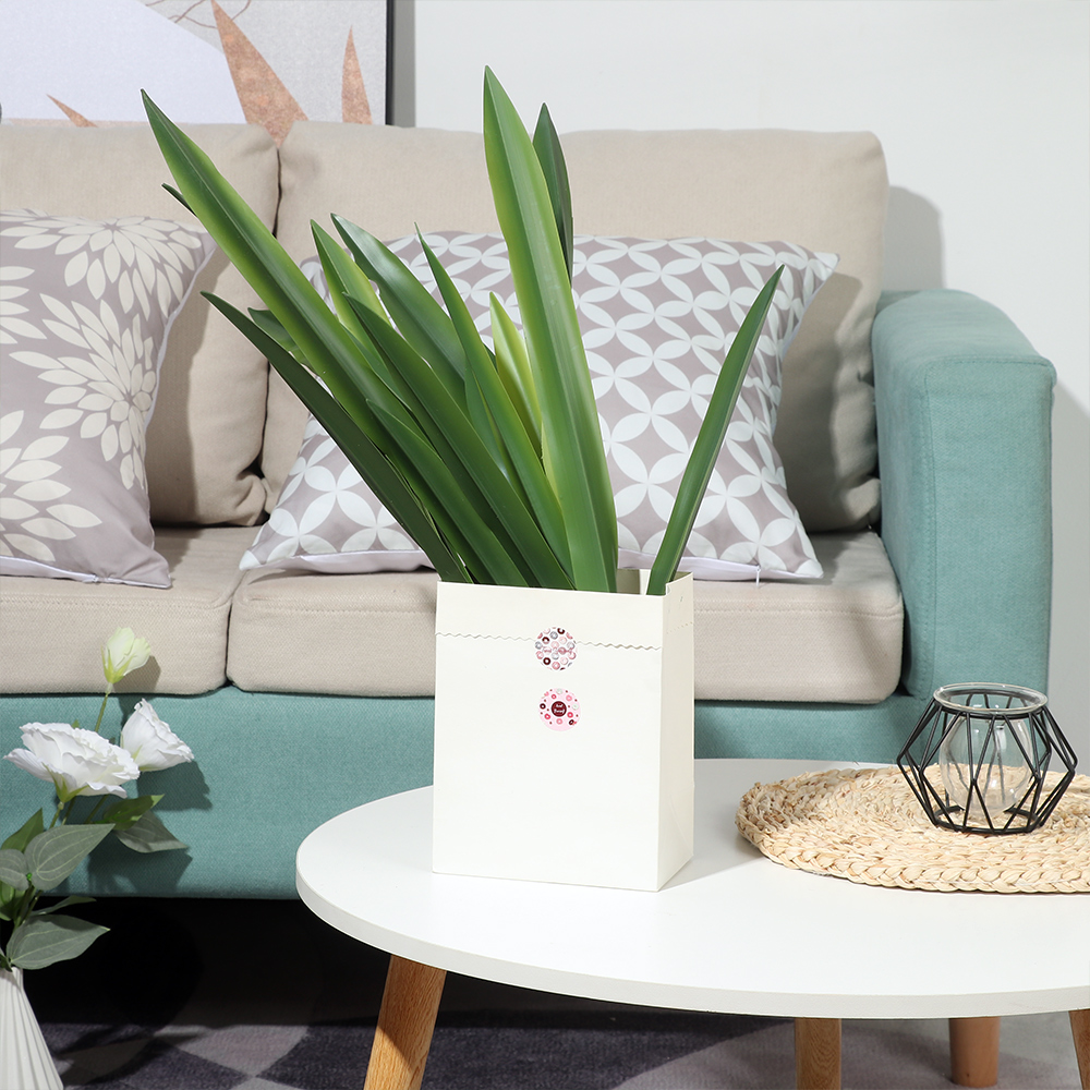 Folha Artificial De Orquídea D - Snake Plant avaliação e preço