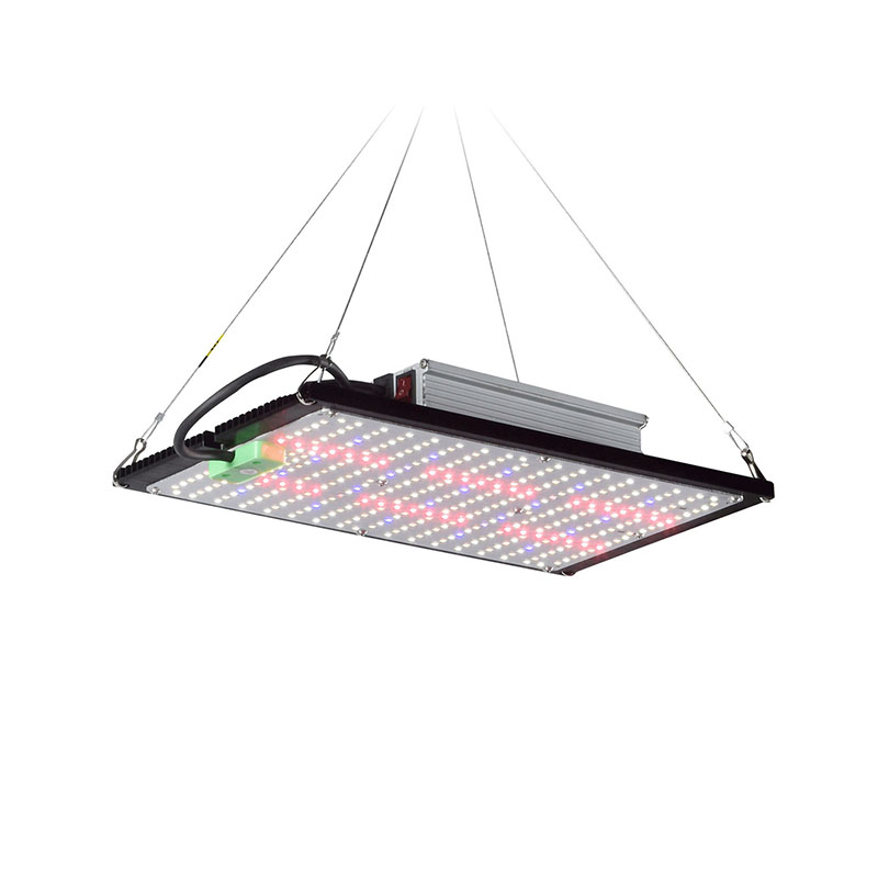 Luz de Cultivo LED Quantum-Boa - Indoor Plants avaliação e preço