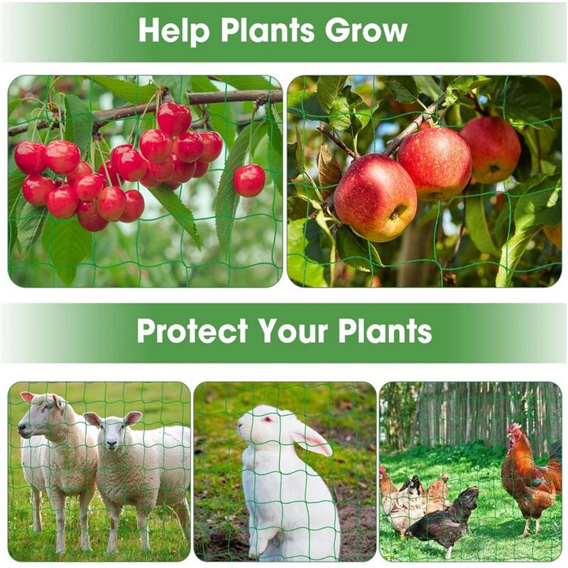 Rede treliça para plantas de e - Plant Support Stake avaliação e preço