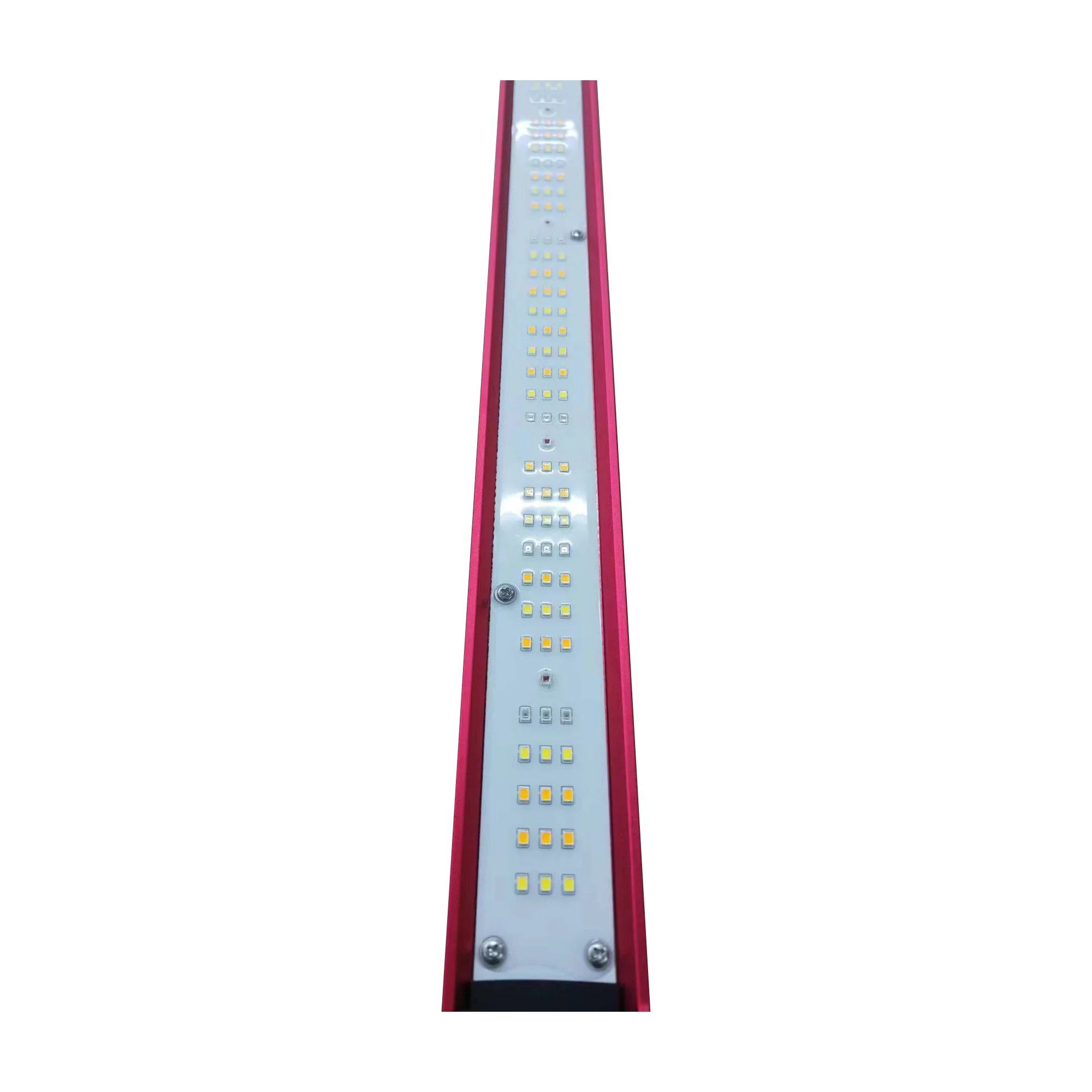 Luz LED de Espectro Completo p - Indoor Plants avaliação e preço