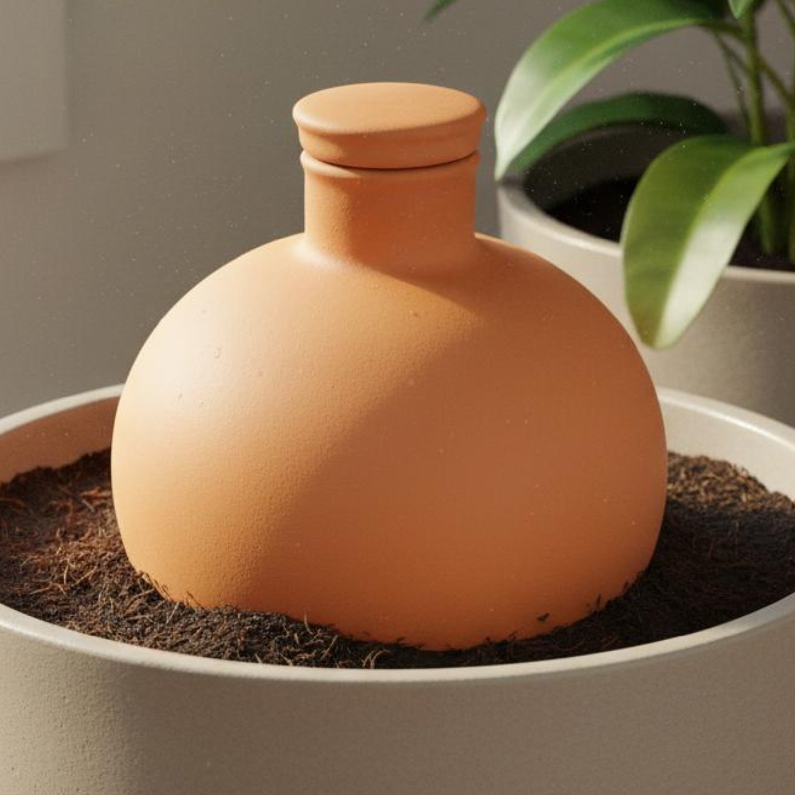 2 Peças de Olla de Terracota p - Terracotta Pot avaliação e preço