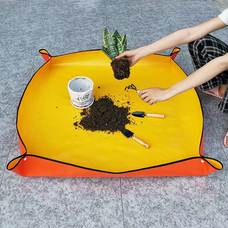 Engrossado tapetes à prova dwa - Snake Plant Ceramic avaliação e preço