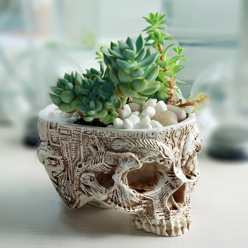 Vaso de flores de caveira de H - Snake Plant Ceramic avaliação e preço
