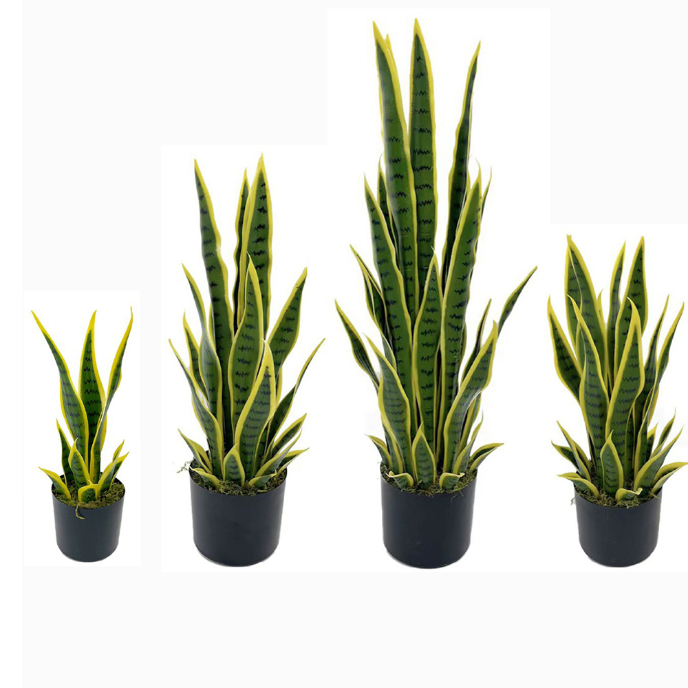 Planta Artificial Sansevieria  - Snake Plant avaliação e preço