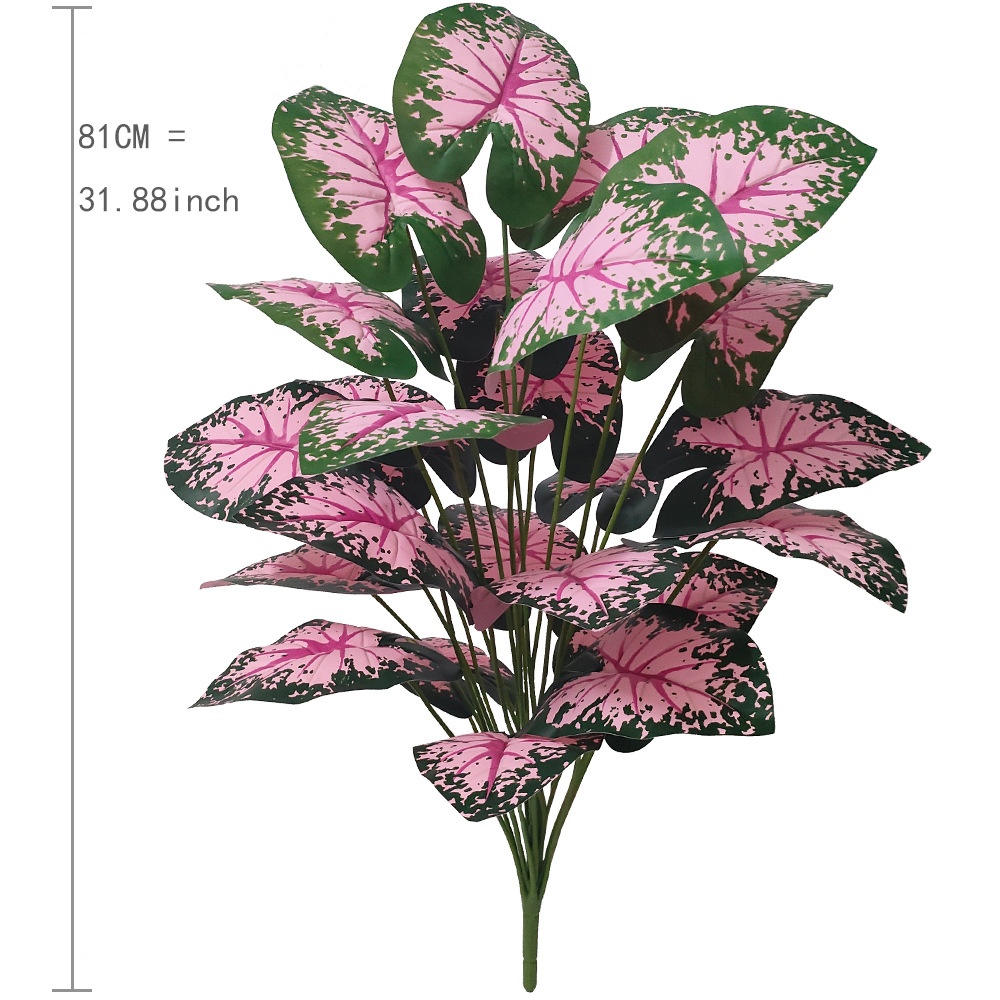 Folha rosa vasos de plantas ar - Snake Plant avaliação e preço