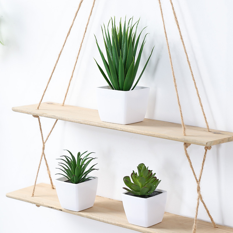 (Um conjunto de 3 peças) mini  - Succulent Set avaliação e preço
