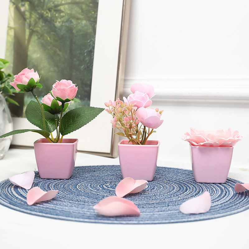(Um conjunto de 3 peças) mini  - Succulent Set avaliação e preço