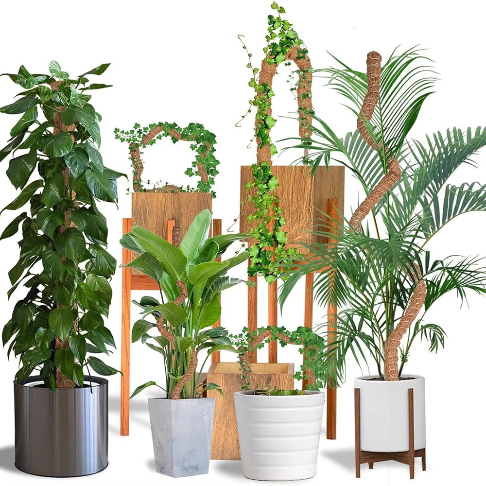 Suporte para Plantas em Vaso d - Pothos avaliação e preço