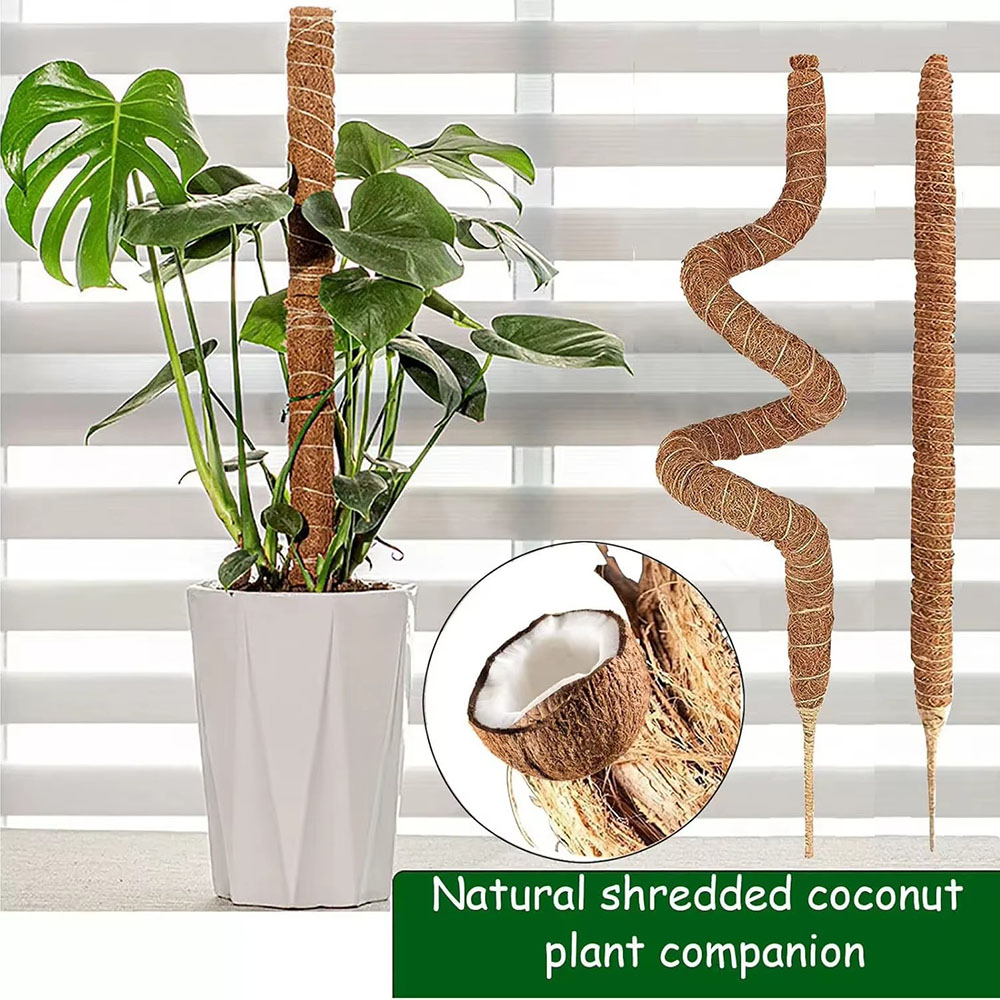 Suporte para Plantas em Vaso d - Pothos avaliação e preço