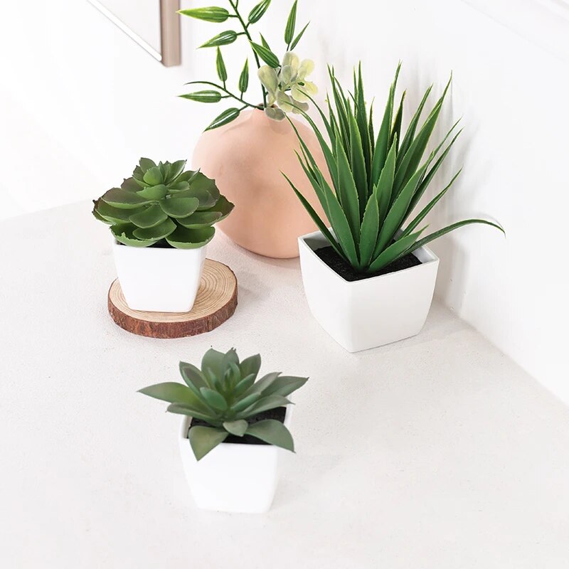 Artificial Evergreen Plant Bon - Succulent Set avaliação e preço