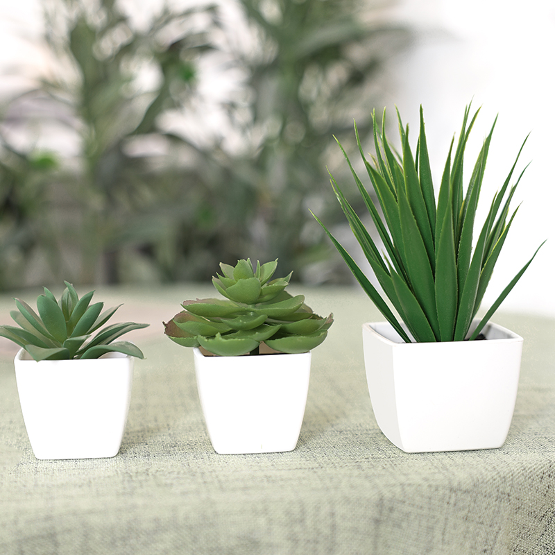 Artificial Evergreen Plant Bon - Succulent Set avaliação e preço