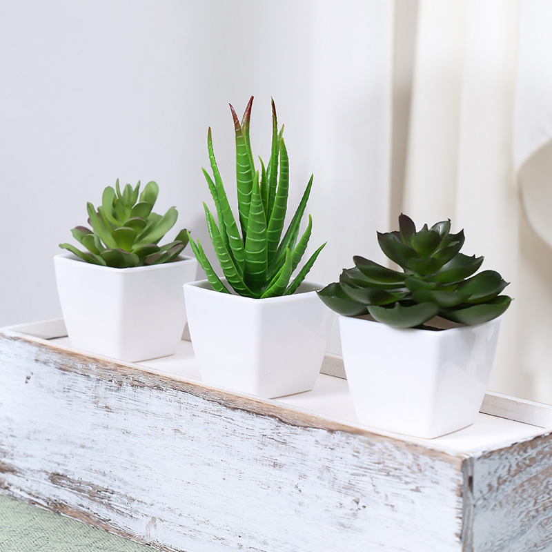 Artificial Evergreen Plant Bon - Succulent Set avaliação e preço