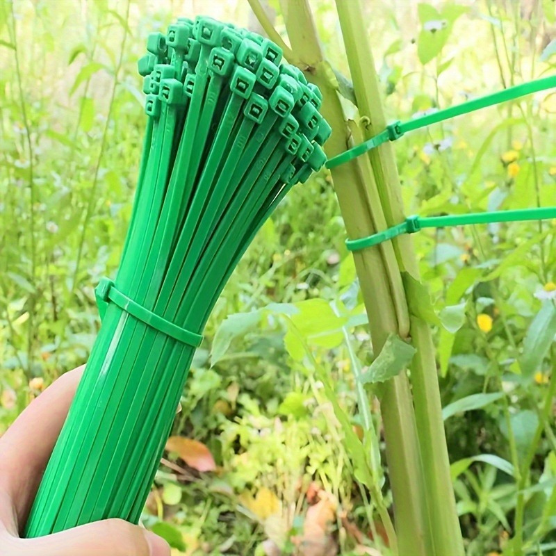 100 peças de abraçadeiras para - Plant Pot avaliação e preço