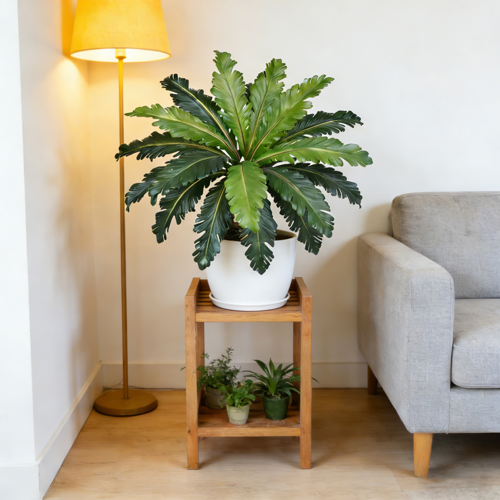 Folhas Persas Tropicais Artifi - Fiddle Leaf Fig avaliação e preço