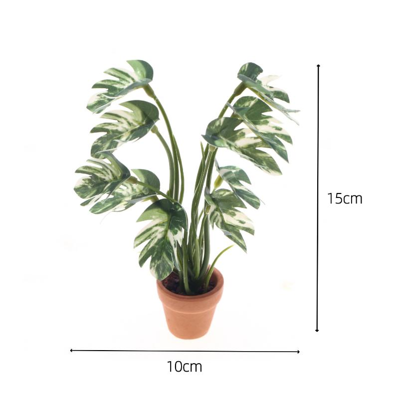 Novo. 1PC Planta Verde Monster - Plant Pot avaliação e preço