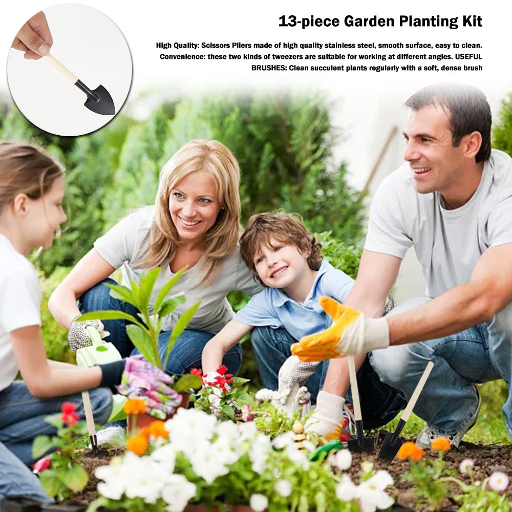 Ferramentas de plantas suculen - Succulent Set avaliação e preço